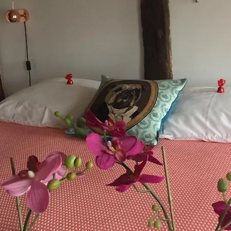 Puurteuven Tussen Kunst En Voeren